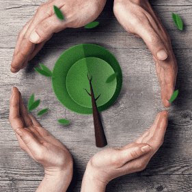 ATITUDES VERDES: IMPRIMIR OU PUBLICAR ONLINE?